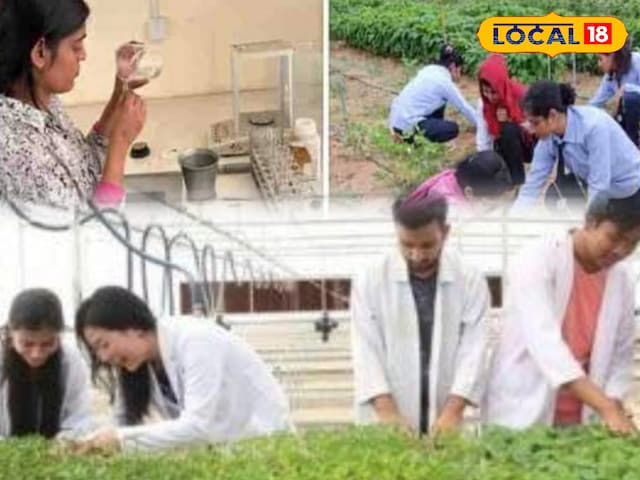 राजस्थान की बेटियों को बड़ा उपहार! 10 वीं के बाद शिक्षा के लिए योजना राजस्थान की बेटियों को बड़ा उपहार! 10 वीं के बाद शिक्षा के लिए योजना