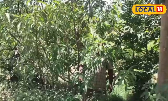 अजमेर अजमेर