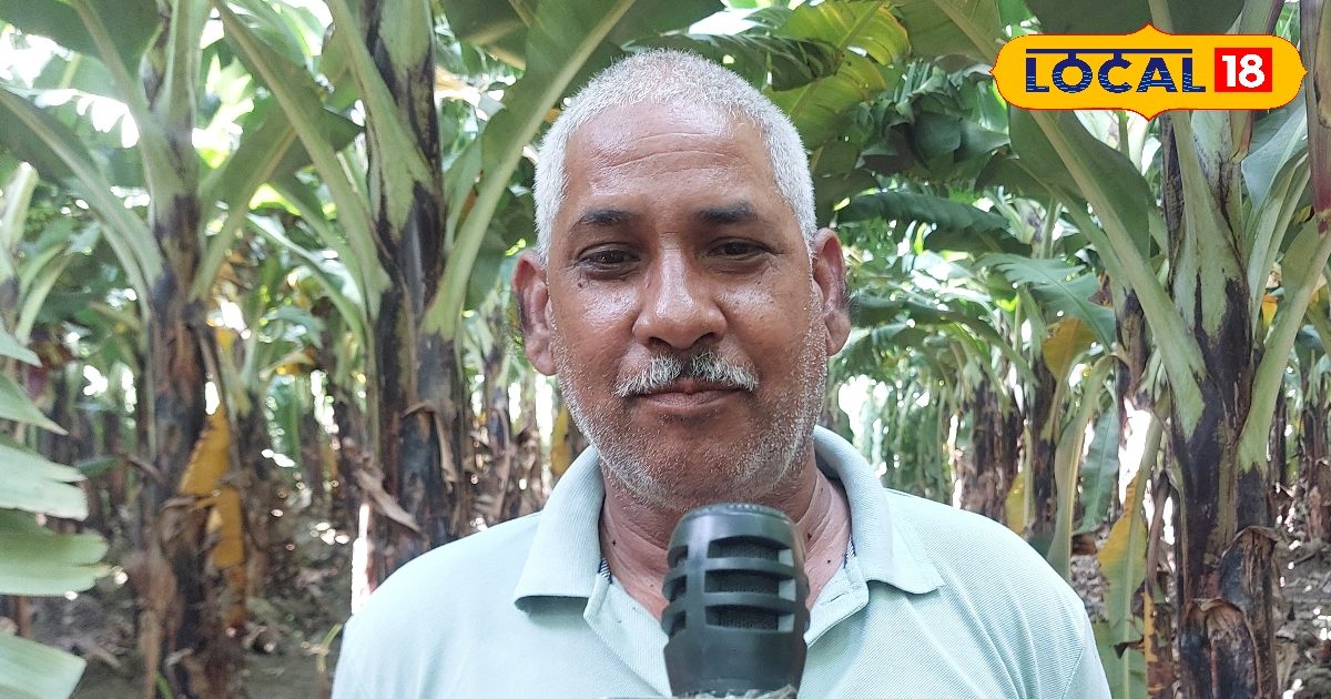 2 एकड़ में लगाई यह फसल, अब सालाना कर रहे 12 लाख की कमाई, जानिए किसान की सक्सेस स्टोरी