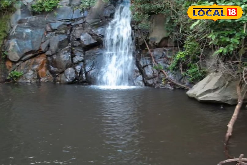 Tourism, Tourism in Bihar, Tourist Places, Eco Cottage, Vacations Places in Bihar, Place of Walking in Bihar, where are the best places of Bihar, Local 18, Bihar Tourism, Tourism in Bihar, Tourist Places, Eco Cottage, Vacations Places in Bihar, Place of Walking in Bihar, where are the best places of Bihar, Local 18, Bihar