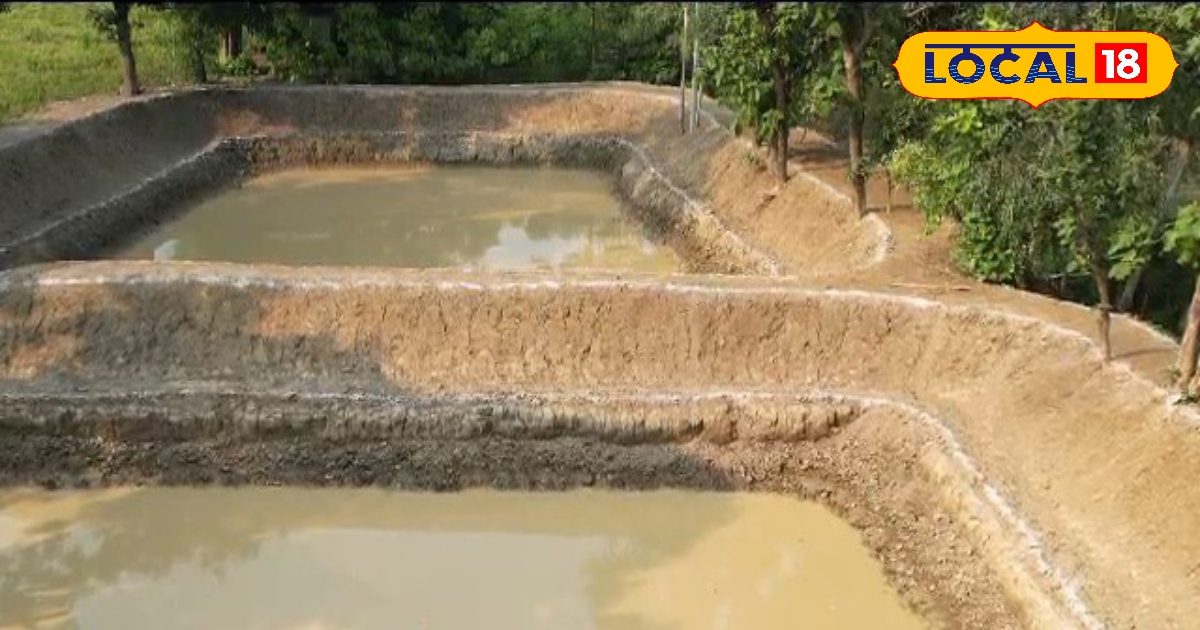 किसानों के लिए शानदार मौका, खेत में बनाएं तालाब, सरकार दे रही तगड़ा अनुदान, फटाफट ऐसे उठाएं लाभ
