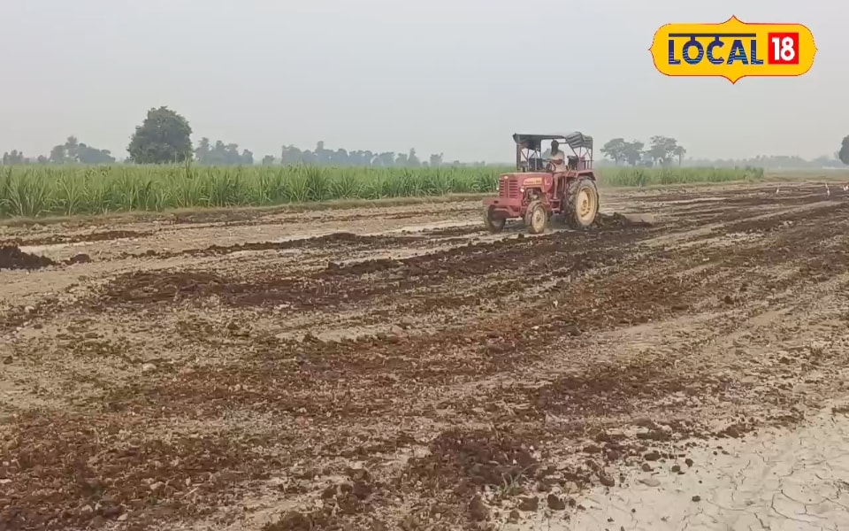 धान की रोपाई से पहले खेतों में गोबर की खाद डालते समय न करें ये 3 गलतियां… फसल हो जाएगी चौपट