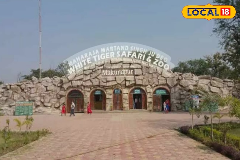 The white tiger city is Rewa.