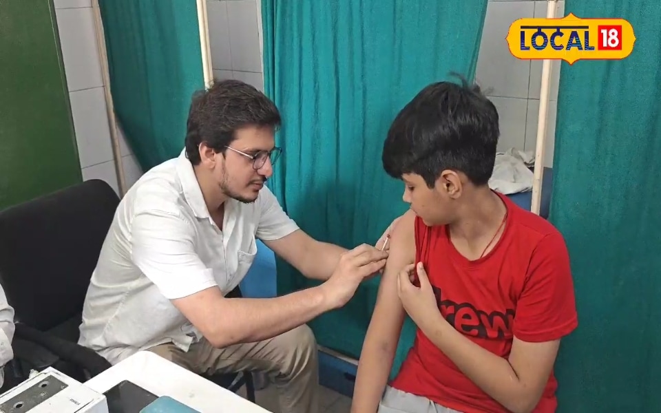 गर्मियों में कुत्ते आखिर क्यों बन जाते हैं इंसानों के दुश्मन? वजह सिर्फ गर्मी नहीं, उनके अंदर होता है एक और बड़ा बदलाव