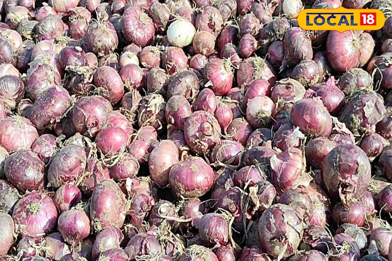 प्याज की खेती प्याज की खेती