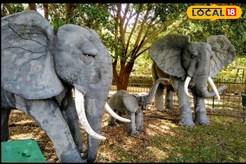 News 18 