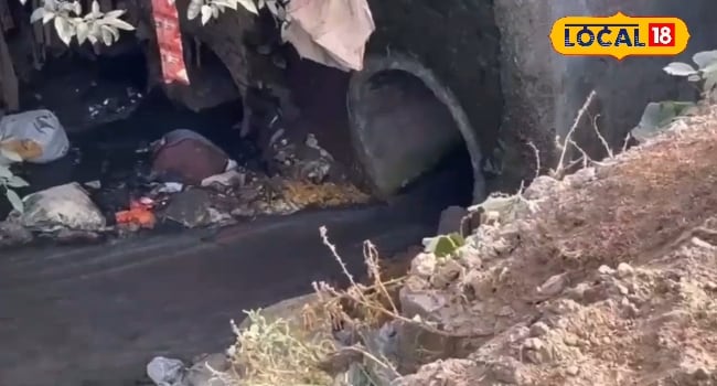 9 नालों और चीनी मिल ने बिगाड़ दी पीलीभीत की इस नदी की हालत, क्या सीएम योगी के ऐलान का पड़ेगा असर?