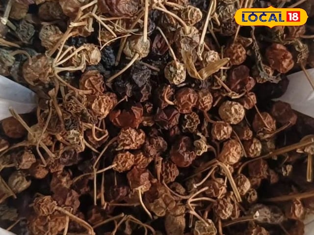 Have you ever eaten mehndi? Its seed is magical, panacea in so many diseases Have you ever eaten mehndi? Its seed is magical, panacea in so many diseases