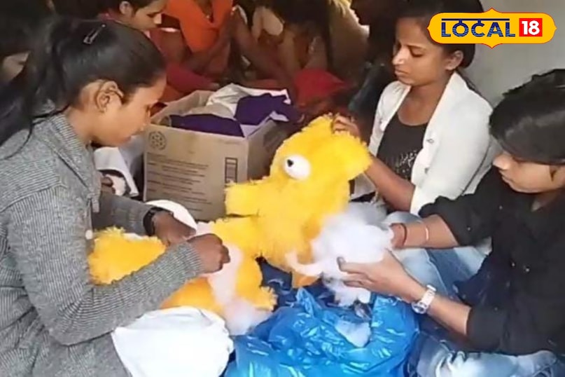 खुद का रोजगार टेडी बेयर बनाने का काम अमेठी सफल युवा पहले थी बेरोजगारी आज हो रहा मुनाफा अमेठी उत्तर प्रदेश न्यूज़ 18 हिंदी