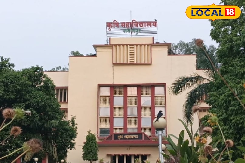 government college government college