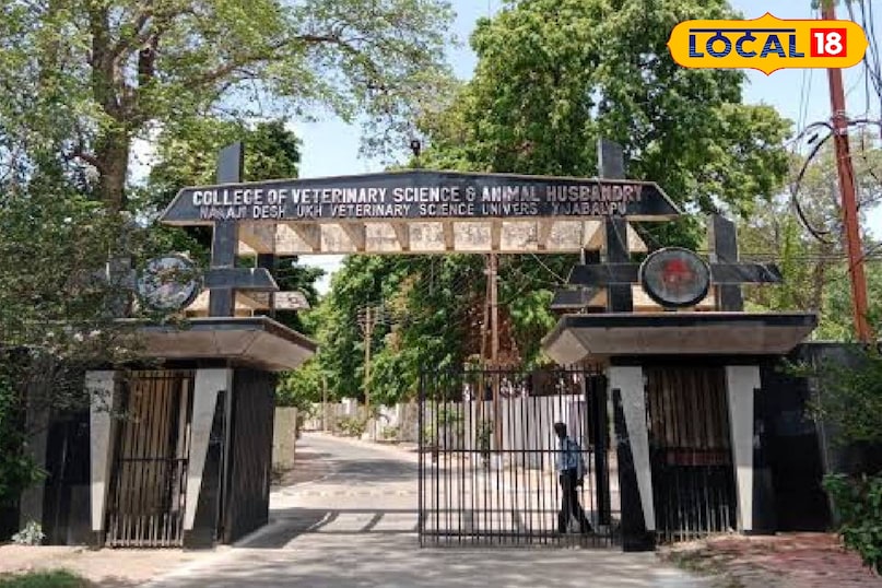 government college government college