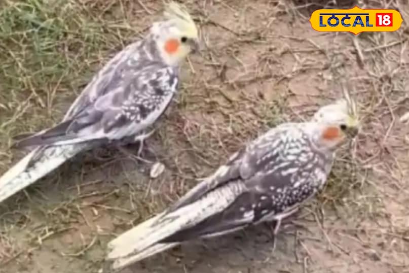 लोगों से मिलने का अंदाज है खुबसूरत.