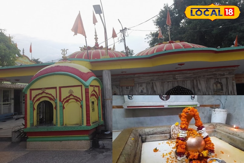 मेरठ, राजकीय स्वतंत्रता संग्राम संग्रहालय, हस्तिनापुर, सरधना, मंदिर, पौराणिक, ऐतिहासिक, पर्यटन स्थल, लोकल-18,Meerut, State Freedom Struggle Museum, Hastinapur, Sardhana, Temple, Mythological, Historical, Tourist Place, Local-18