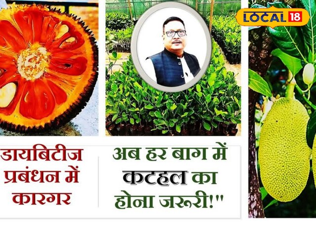 डायबिटीज का डर खत्म, खूब खाओ यह सब्जी, डॉक्टर की नहीं पड़ेगी जरूरत!