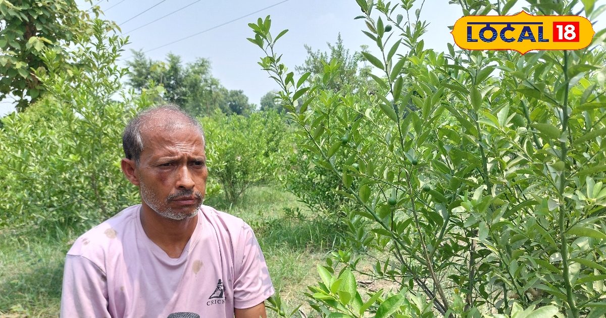 किसान भाई, नींबू की इस वैरायटी की करें खेती, 7 महीने में बना देगा लखपति