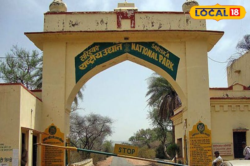 सरिस्का टाइगर रिजर्व सरिस्का टाइगर रिजर्व