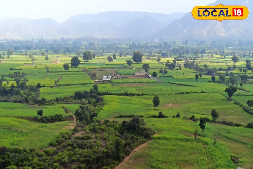 खेतों में हरियाली खेतों में हरियाली