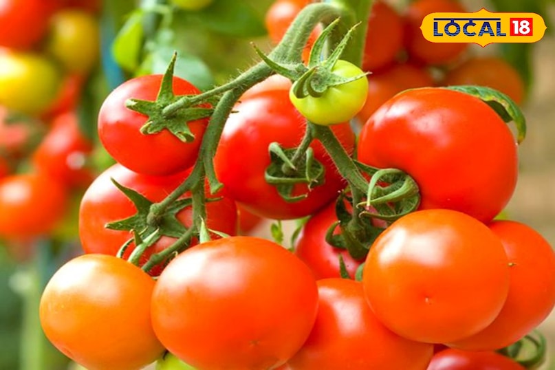 Kitchen Hacks, kitchen tips, kitchen tricks, how to reduce salt in food, ways to remove excess salt, how to remove salt from meal, sabji me jyada namak ko ese kam kare, jyada namak ko ese karen kam Kitchen Hacks, kitchen tips, kitchen tricks, how to reduce salt in food, ways to remove excess salt, how to remove salt from meal, sabji me jyada namak ko ese kam kare, jyada namak ko ese karen kam