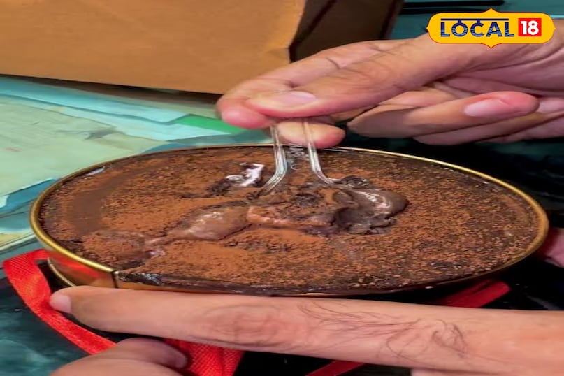 ड्रीम केक या टॉर्टे केक इस चॉकलेटी और क्रंची केक को तोड़ने का ट्रेंड सोशल मीडिया पर खूब वायरल हुआ। लोग अपने सोशल मीडिया हैंडल पर इसका विडियो अपलोड करते है आप इसे हैदराबाद में इसे यहां ट्राई कर सकत है जिसमे हाइव बेकरी, सुभान बेकरी और रोस्टरी कॉफी हाउस बेस्ट जगह है। ड्रीम केक या टॉर्टे केक इस चॉकलेटी और क्रंची केक को तोड़ने का ट्रेंड सोशल मीडिया पर खूब वायरल हुआ। लोग अपने सोशल मीडिया हैंडल पर इसका विडियो अपलोड करते है आप इसे हैदराबाद में इसे यहां ट्राई कर सकत है जिसमे हाइव बेकरी, सुभान बेकरी और रोस्टरी कॉफी हाउस बेस्ट जगह है।