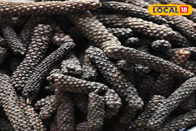 moradabad news,hindi news,up news,local news, मुरादाबाद समाचार, हिंदी समाचार, यूपी समाचार, लोकल समाचार। 