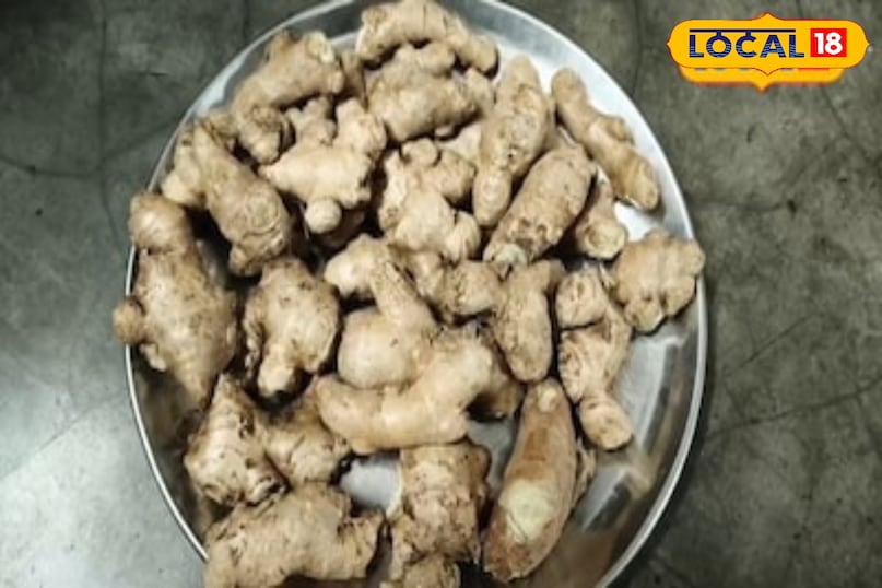 moradabad news,hindi news,up news,local news, मुरादाबाद समाचार, हिंदी समाचार, यूपी समाचार, लोकल समाचार। 