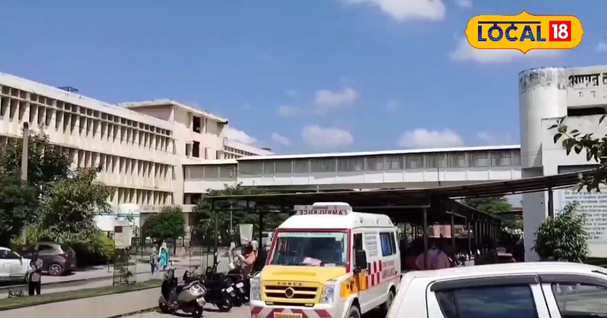 Summer Tips: गर्मी या बारिश में नहीं होंगे बीमार, अपनाएं ये हेल्थ टिप्स और डाइट में करें ये खास बदलाव