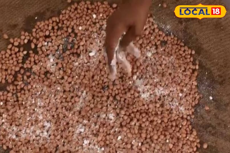 अरगट और चेपा रोग से बचाव