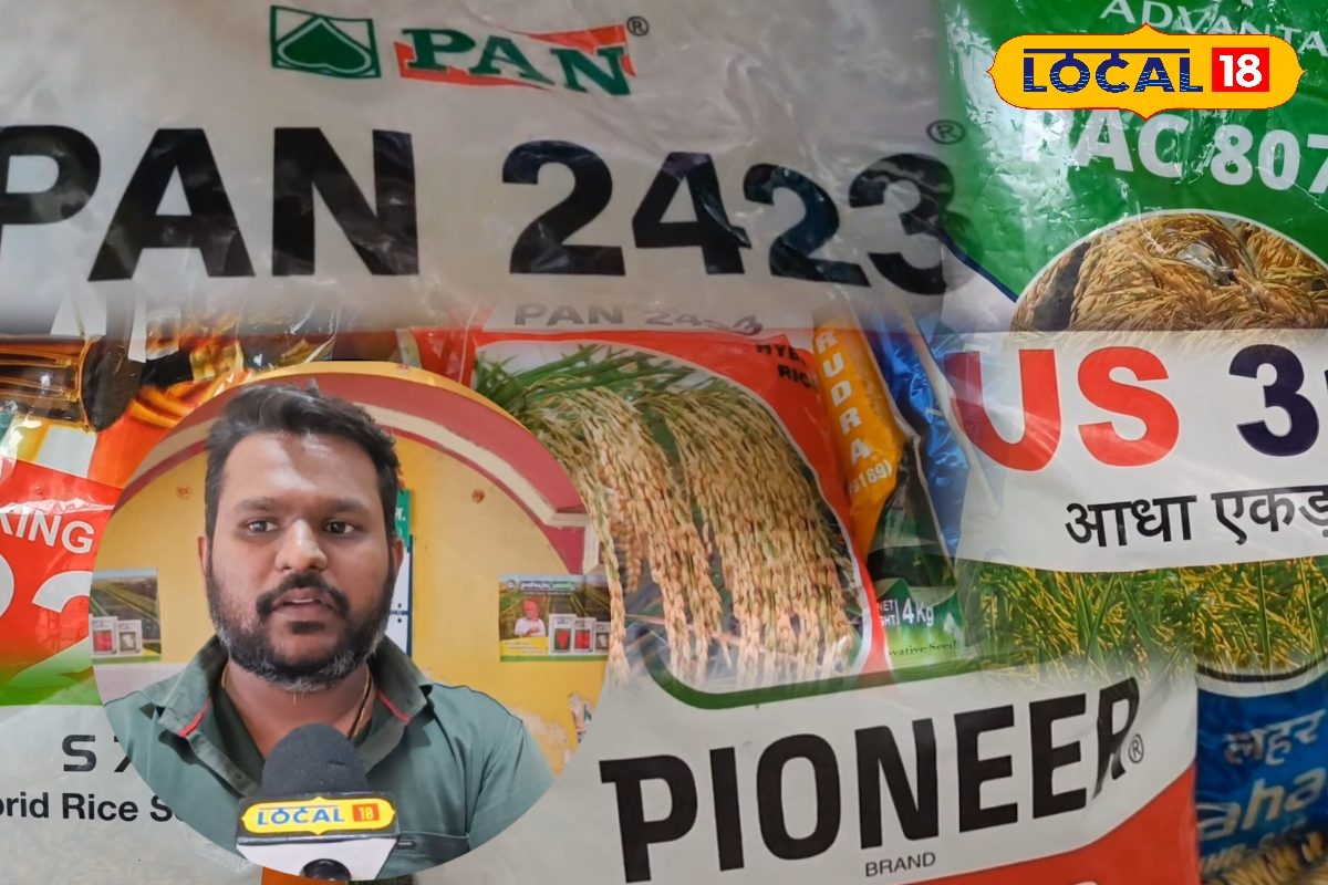 किसान भाई इधर ध्यान दें! ये धान की वैरायटी 120 दिन में देगी बंपर पैदावार