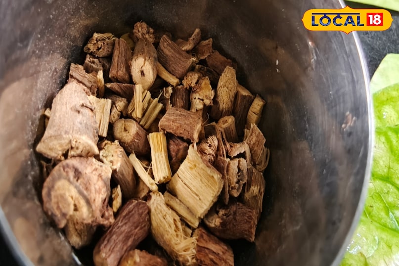 मुलेठी की पहचान मुलेठी की पहचान