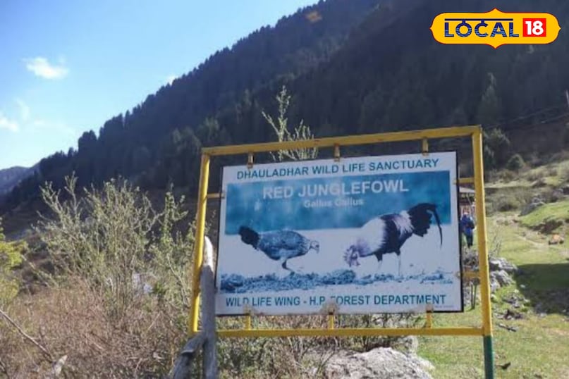 Chauhar Valley 