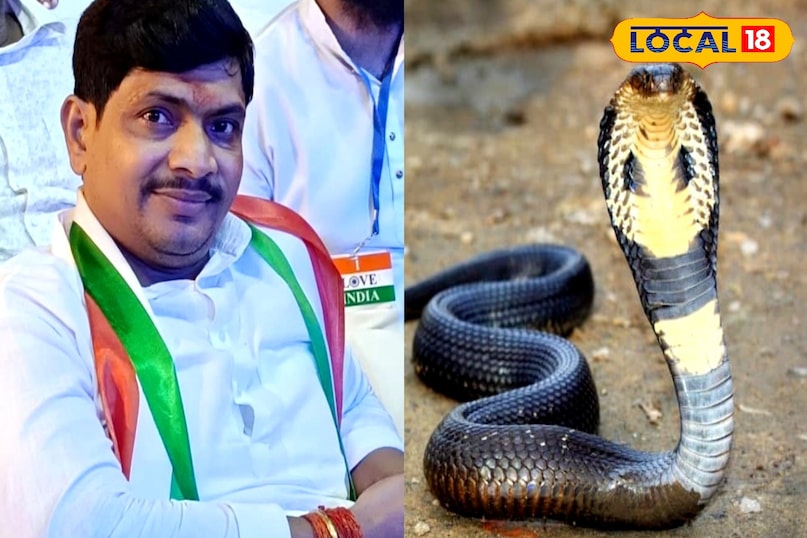snake