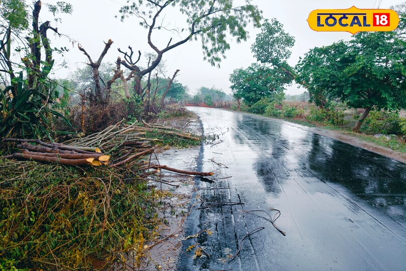 Chhatarpur Weather News 