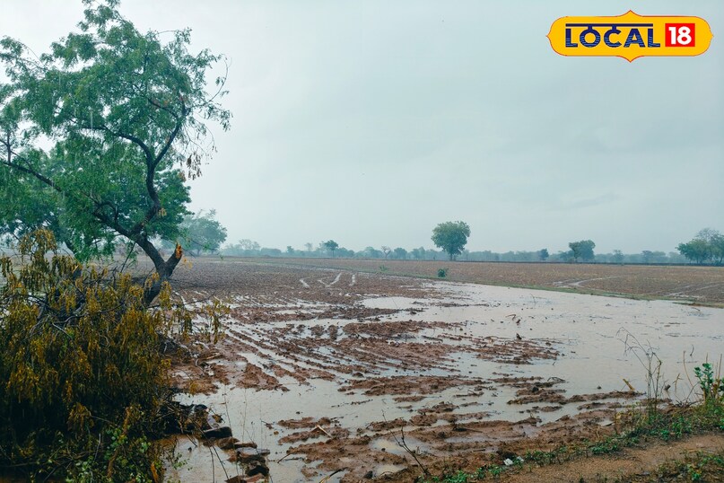Chhatarpur Weather News 