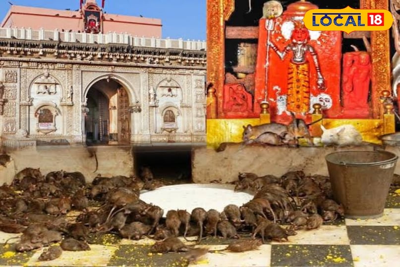 Karni Mata Temple of Deshnok Karni Mata Temple of Deshnok