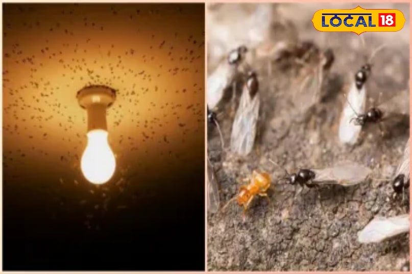 समाचार 18 समाचार 18