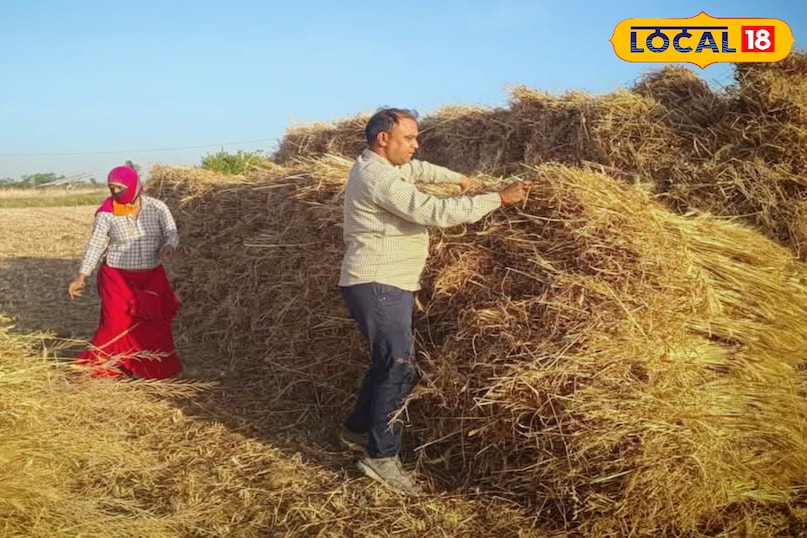 करौली करौली