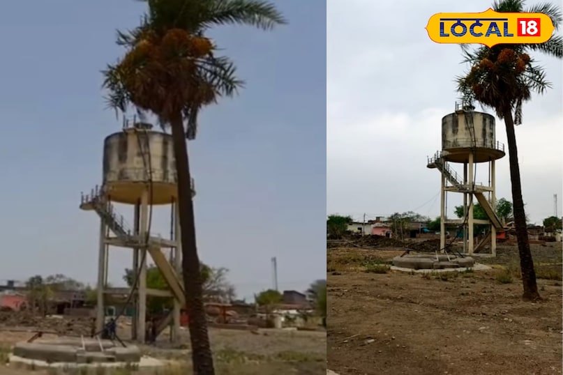 Panchayat, Panchayat Web Series, Web Series, Panchayat Season 4, Panchayat Season 4 Shooting Location, Panchayat, Panchayat Web Series, Web Series, Panchayat Season 4, Panchayat Season 4 Shooting Location,