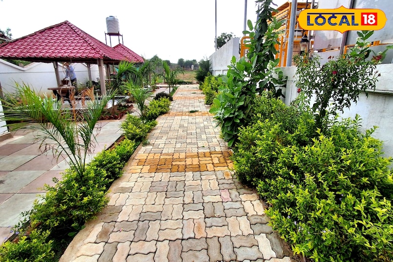 garden garden