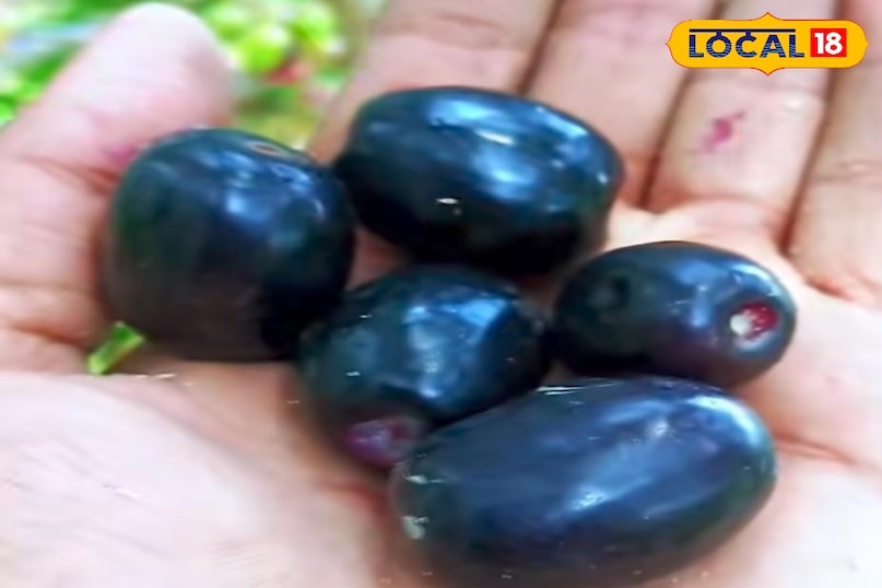 Jamun Jamun