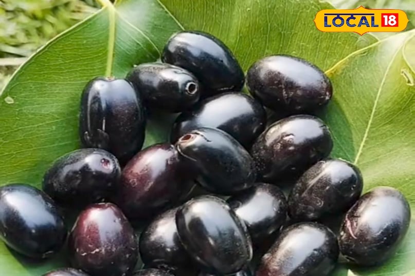 Jamun Jamun