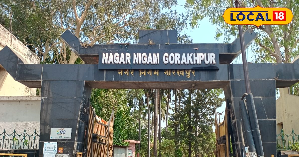 मच्छरों ने दिया अंडा तो आपको पड़ेगा ‘डंडा’, गोरखपुर में घर-घर ‘तलाशी’, पहले 25 हजार तक जुर्माना, फिर FIR