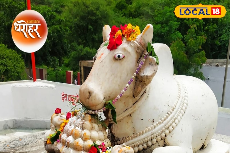 समाचार 18 
