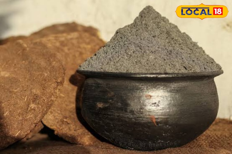 सांप घर के बाहर और अंदर अपने छिड़काव से दूर हो जाएंगे