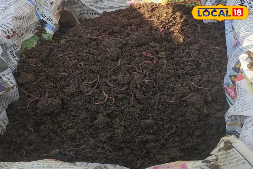कार्बनिक उर्वरक कार्बनिक उर्वरक