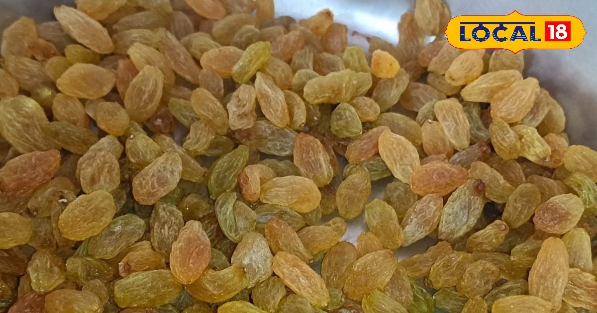 Health Benefits: खाली पेट रोजाना पियो इस ड्राई फ्रूट का पानी, वजन कंट्रोल से लेकर बाल-स्किन तक मिलेंगे गजब के फायदे!
