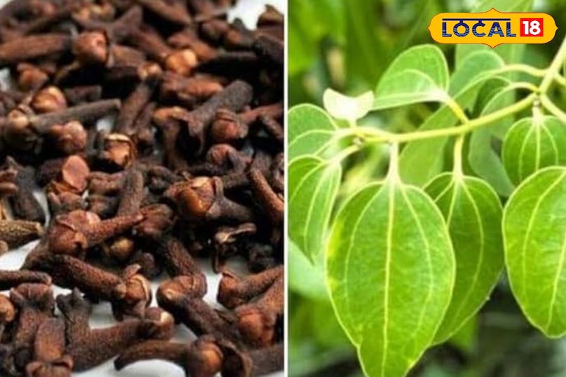 स्वास्थ्य युक्तियाँ स्वास्थ्य युक्तियाँ