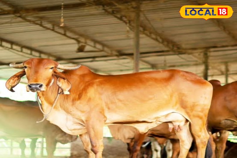 गिरा 