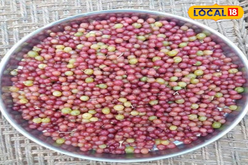 यह फल रेगिस्तान का वरदान है: महिलाओं के हार्मोन संतुलन, बच्चों की हड्डियों और बुजुर्गों के स्वास्थ्य के लिए फायदेमंद यह फल रेगिस्तान का वरदान है: महिलाओं के हार्मोन संतुलन, बच्चों की हड्डियों और बुजुर्गों के स्वास्थ्य के लिए फायदेमंद