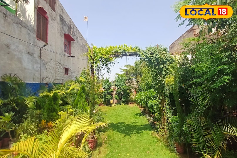 समाचार 18 समाचार 18