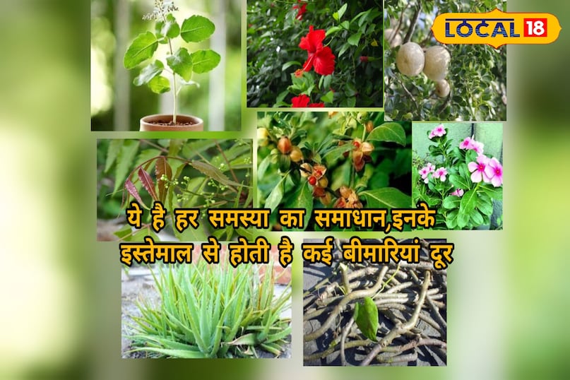 स्थानीय 18 